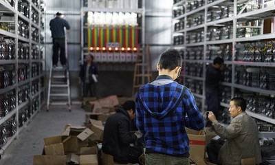 Solar Powered Mining Farm